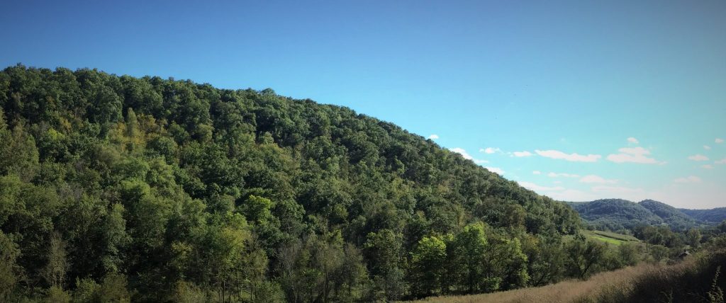 Crooked Creek ridgeline