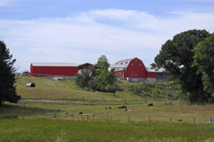 Gale Woods Farm
