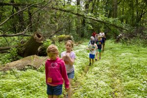 Kids walking through a forest