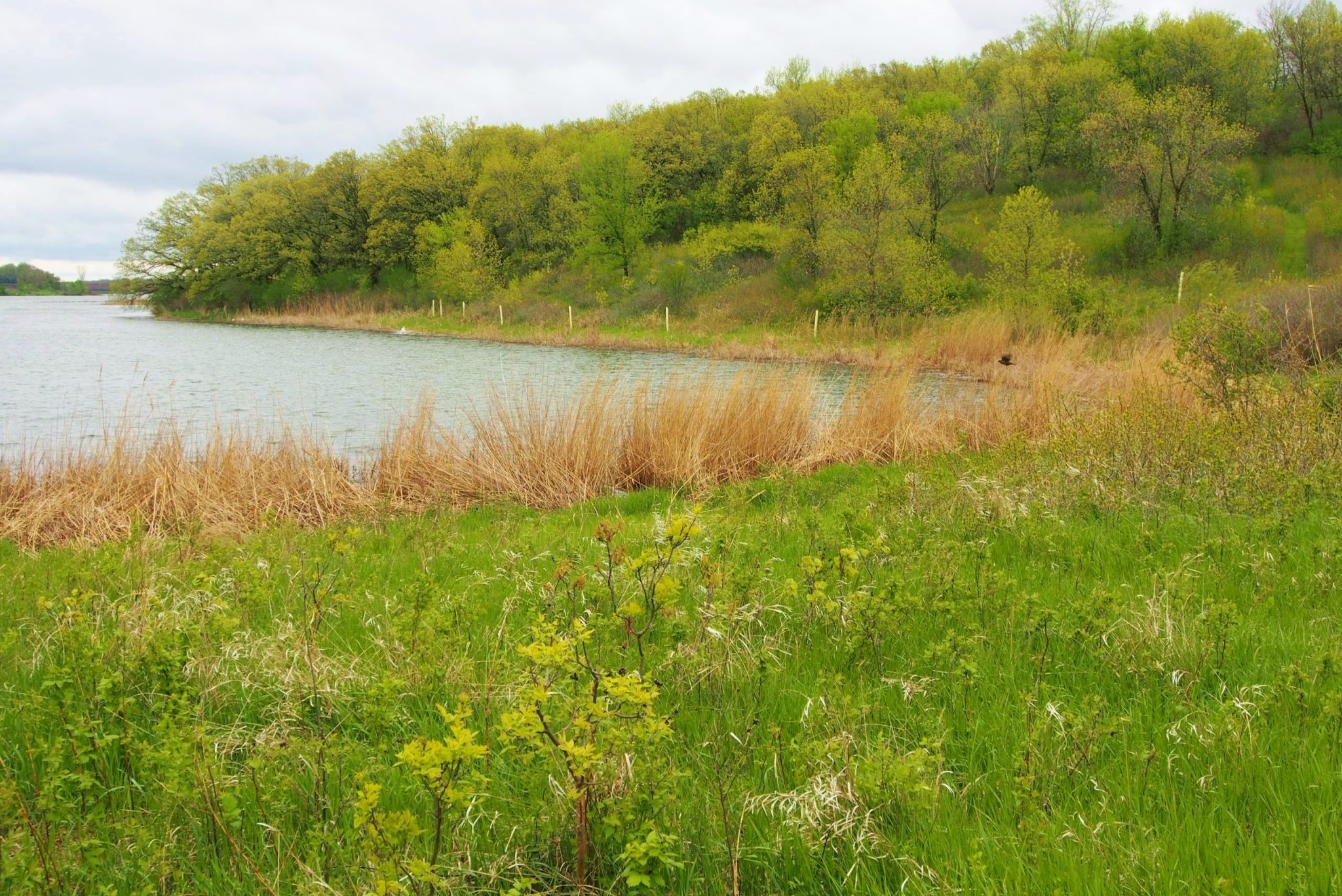 Otter Tail Mineral Lake