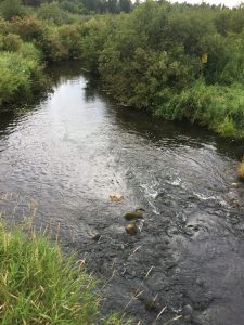 Kabekona River