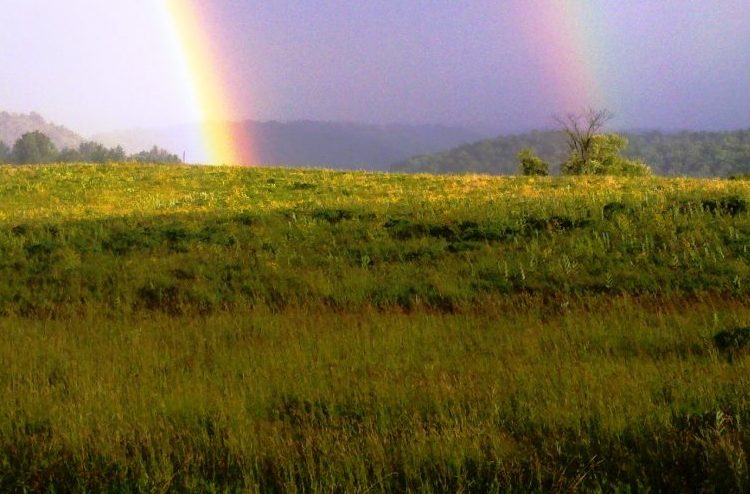 landscape with two rainbows