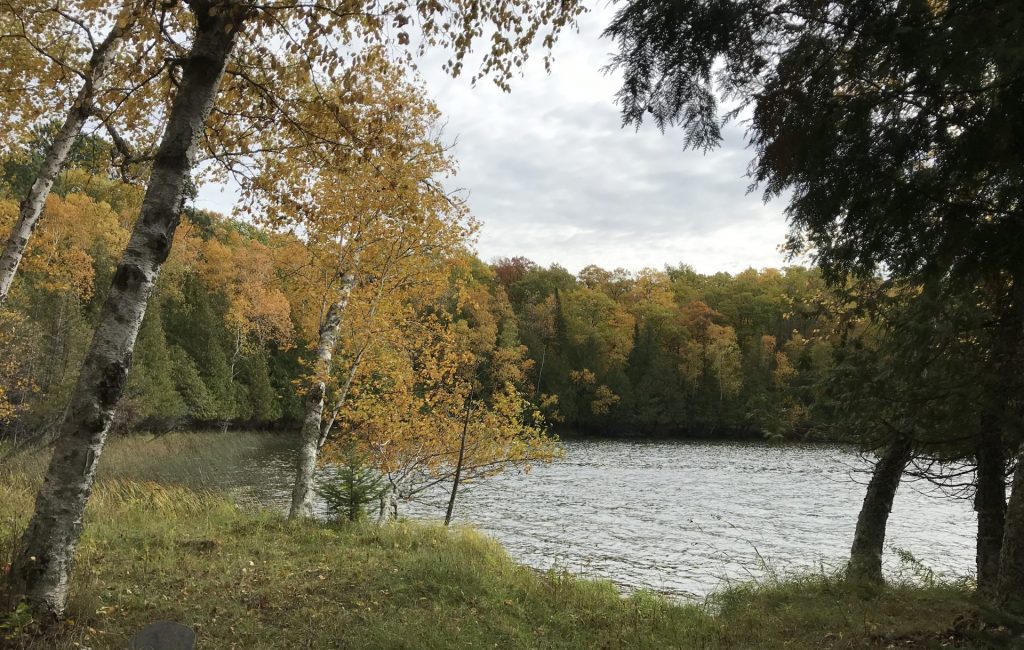 Thunder Lake shoreline with reeds showing great habitat