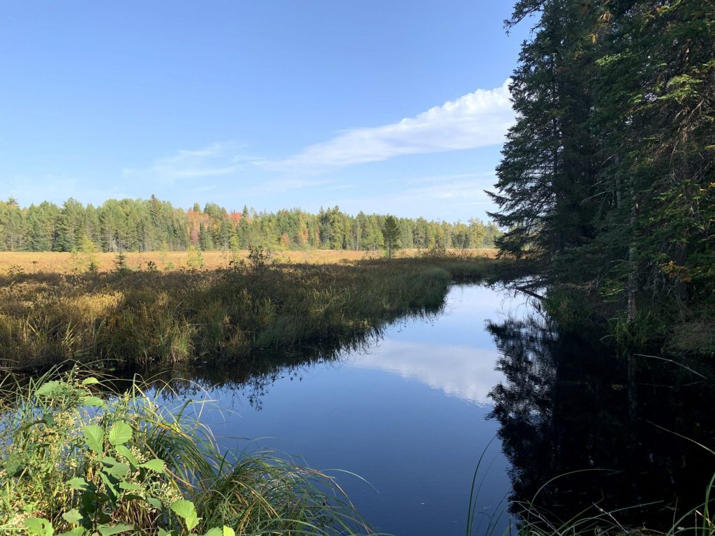 The Minnesota Land Trust — Your partner in protecting and restoring ...