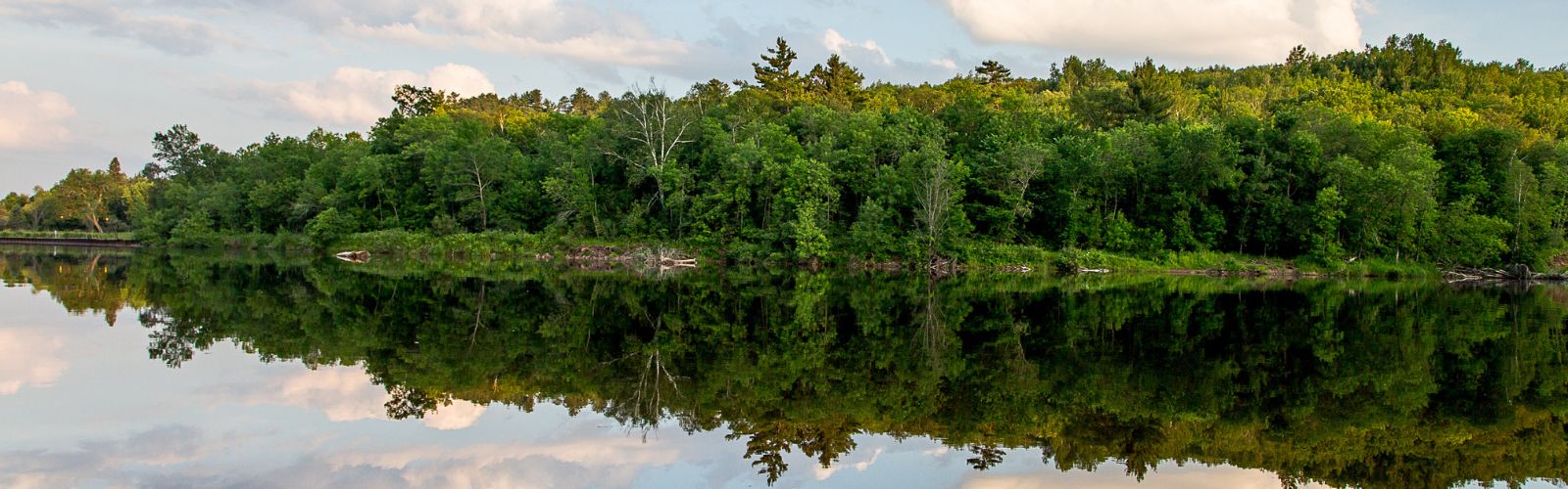 Shoreline with pine trees reflecting off of a still, glass surface of the St. Louis River