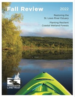 Fall 2022 Review publication a perspective view over the front of a green kayak at the river and trees along the shoreline with blue sky