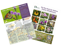 Thumbnail image of Minnesota Prairie Pollinator Guide