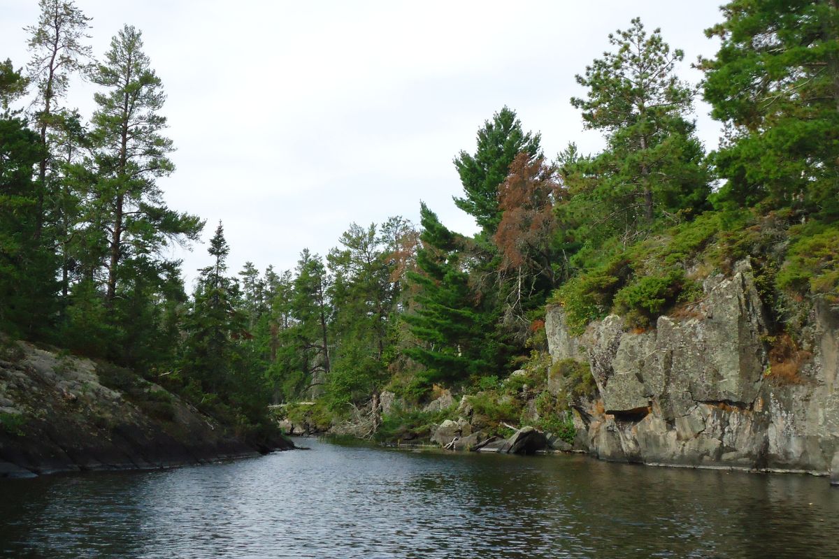 Lake surrounded by rocky outcrops with pine trees and other vegetation