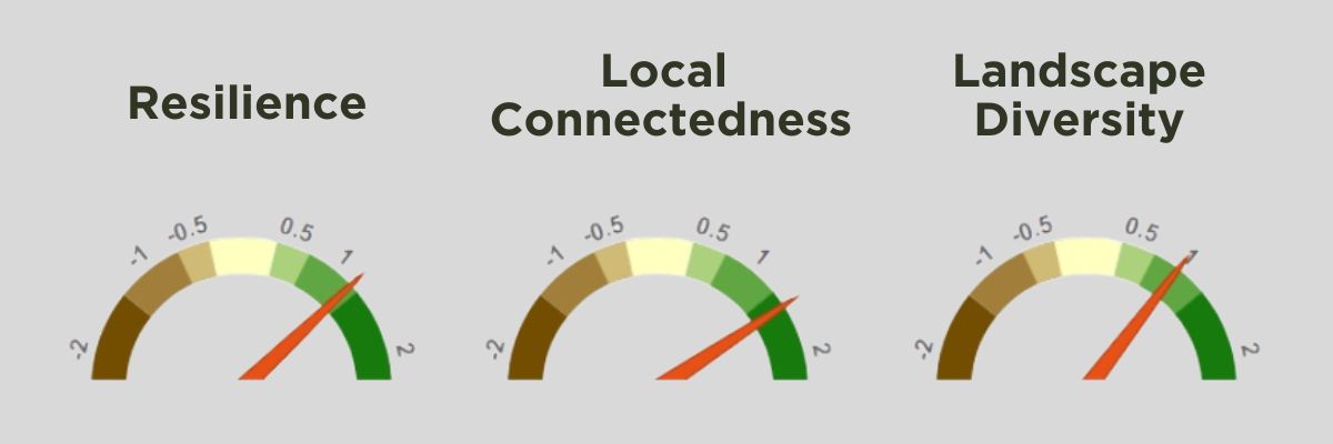 Dashboard showing three climate change resiliency metrics: Resilience, Local Connectedness, and Landscape Diversity