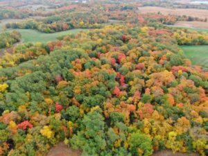 Aerial view of deciduous trees in fall, yellow, orange, red and green colors