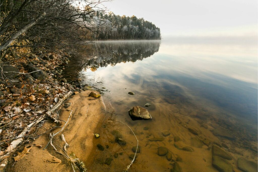 A moody shoreline with mist on the lake and trees lining the water