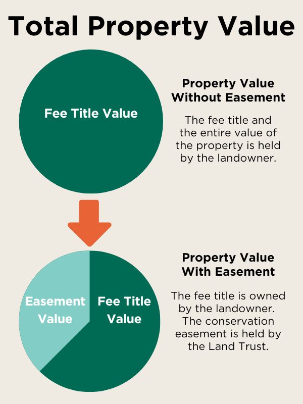 Total property value graph