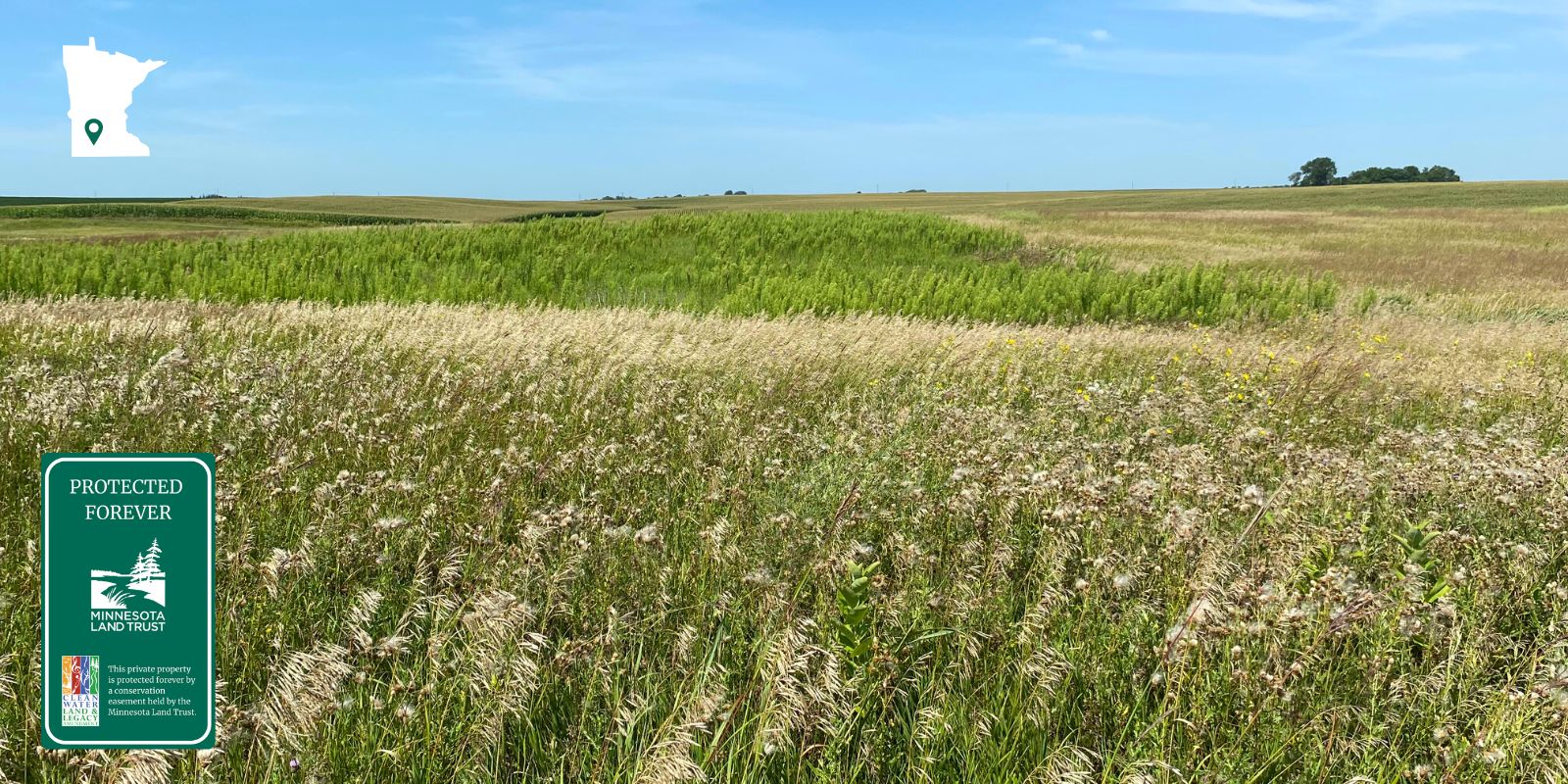Grassland and prairie with a blue sky