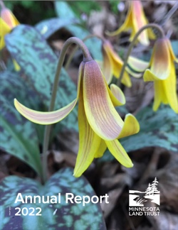 Minnesota Land Trust 2022 Annual Report cover featuring a trout lily