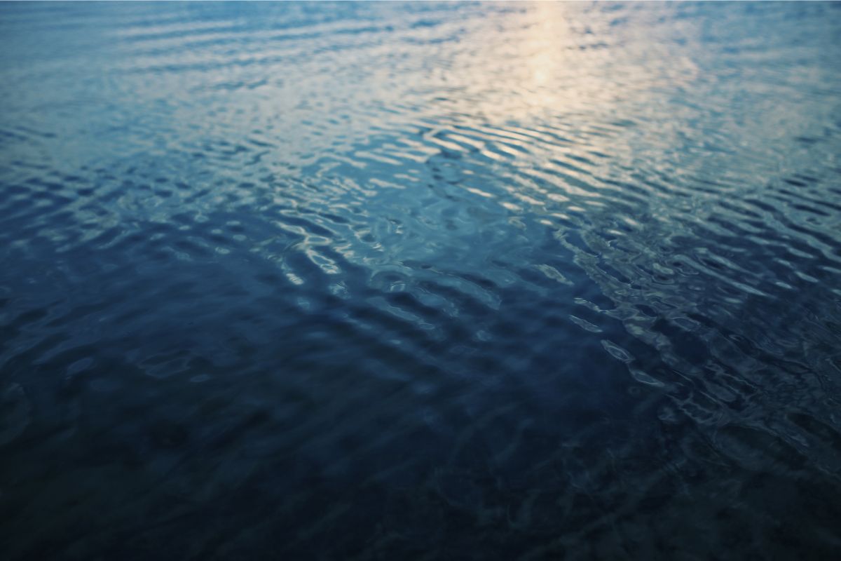 Surface of water with slight ripples