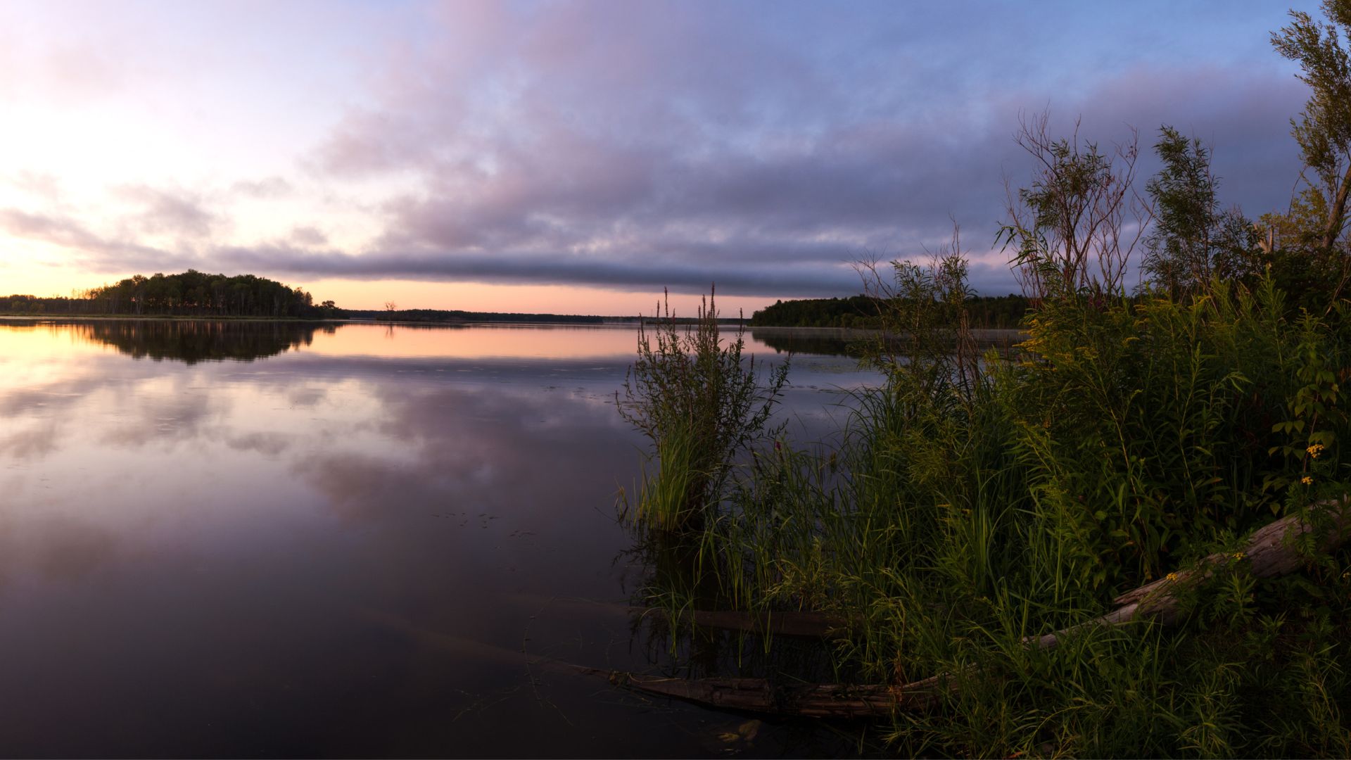 Photo of a northern lake at sunset with evergreen trees and shoreline grasses in the foreground.