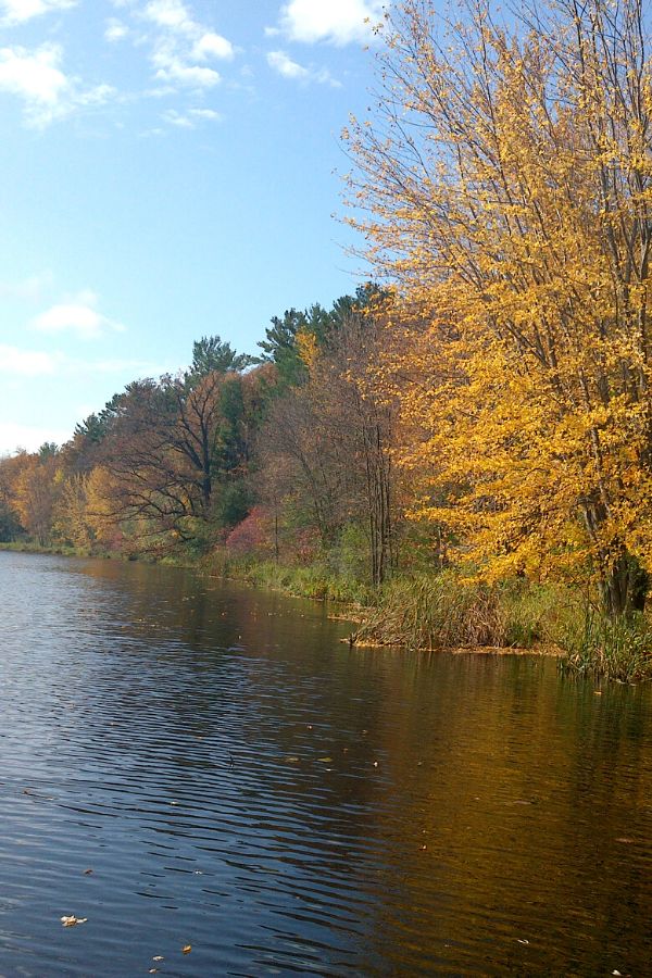 Lake shoreline with fall foliage trees, yellow, red, and green