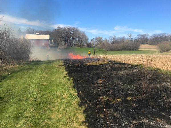 A fire converts green turf grass to a charred area in a controlled burn