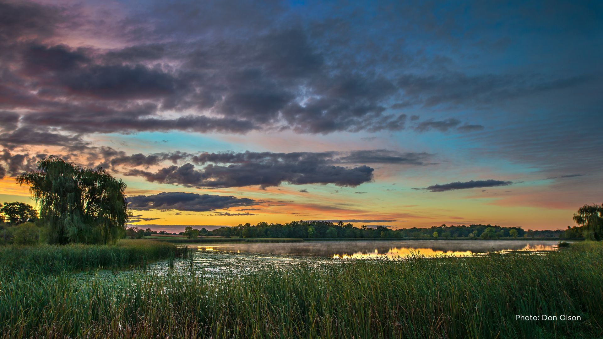 Lake with cattails and marsh grass in the foreground, willow trees and an orange, blue and purple sunset